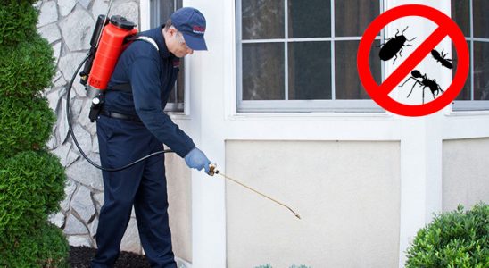 Muş Böcek İlaçlama böcek ilaçlama ve haşere kontrolü — ilaclama-tr.com